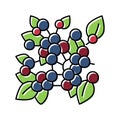 huckleberry plant branch color icon vector illustration