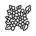 huckleberry plant branch line icon vector illustration
