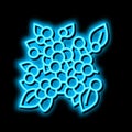 huckleberry plant branch neon glow icon illustration