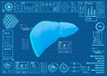 Hud UI Telemedicine liver monitoring app with futuristic interface. human liver scanner