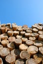 Huddle of wood Royalty Free Stock Photo