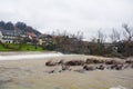 High Water in Sora River, Skofja Loka, Slovenia