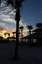 Hudson Beach Palm tree Silhouette