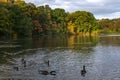 Hudson River in upstate New York in autumn colors. Vibrant colorful trees along the riverbank and some ducks swimming in the water Royalty Free Stock Photo