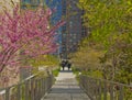 Hudson Yards High Line is an urban park in New York City spanning 14th to 34th streets NYC Royalty Free Stock Photo