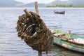 Oyster farming in Lap An Lagoon, Vietnam Royalty Free Stock Photo