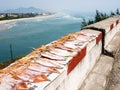 Squids drying on concrete railing with view of picturesque Lap An lagoon and Lang Co beach Royalty Free Stock Photo