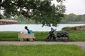 Back shot of a romantic couple sitting on a park bench