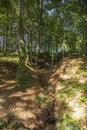 The Huel Lee is man-made caves in Luxembourg Sand-stone. The forest and the surroundings near the caves Royalty Free Stock Photo