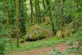 Huelgoat forest in Brittany