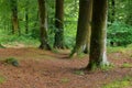 Huelgoat forest in Brittany