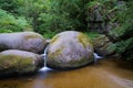 Huelgoat forest Mare aux Sangliers in Brittany