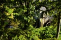 Watermill of Huelgoat, an old and typical water mill in Brittany France Royalty Free Stock Photo