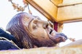 Huelva, Spain - April 14, 2022: Detail of the face of Jesus Christ in the Throne or platform of the paso of the Holy Burial Santo