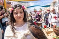 A Harris's Hawk, Parabuteo unicinctus, used for falconry, in the hand of a young woman parading in