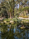 Huerto del Cura National Garden in Elche, Spain Royalty Free Stock Photo