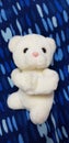 Hug bear blue background toys qute miss love blanket Royalty Free Stock Photo