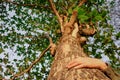 Hug a big tree, symbolizing the connection between humans and nature. Royalty Free Stock Photo