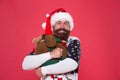 Hug is mood enhancer. Happy santa embrace reindeer toy. Bearded man in cool mood. Awesome holiday mood. Christmas mood Royalty Free Stock Photo