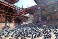 A huge amount of pigeons on Durbar Central Square in Kathmandu, Nepal.