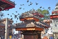 A huge amount of pigeons on Durbar Central Square in Kathmandu, Nepal.