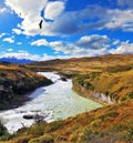 Huge Andean condors flying over water Royalty Free Stock Photo