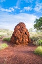 Huge ant termite hill mound Australia Royalty Free Stock Photo