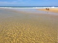 The Huge Atlantic Beaches of South west France Cap-Ferret Peninsula, South West France