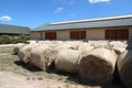 Haystacks for livestock feed for horses outdoors