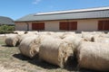 Haystacks for livestock feed for horses outdoors