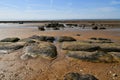 Huge beach with rocks after the sea tide Royalty Free Stock Photo