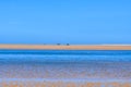 Huge beach after the sea tide Royalty Free Stock Photo