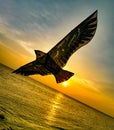 Beautiful eagle kite flying at the beach side