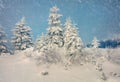 Huge blizzard in mountain forest. Marvelous outdoor scene with fir trees covered of fresh snow. Majestic winter landscape. Happy Royalty Free Stock Photo