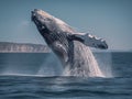 A huge blue whale jumps above sea level