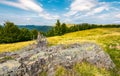 Huge boulder on a grassy meadow