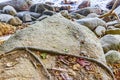 Huge boulder rock Lamru Nationalpark Khao Lak Phang-nga Thailand Royalty Free Stock Photo