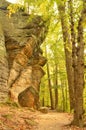 Huge boulder in the woods in Ledges Park Royalty Free Stock Photo