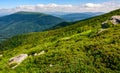 Huge boulders on meadow on top of mountain ridge Royalty Free Stock Photo