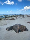 Big boulders. Rocky coast of the Baltic Sea. Sand beach of the Gulf of Finland. Royalty Free Stock Photo