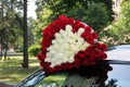 A huge bouquet of hundreds of red and white roses on the roof of the car Royalty Free Stock Photo