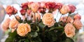 Huge bouquet of roses is the best gift for woman. charming Dutch red and pink roses with long cane in flower shop.