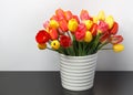 Huge bouquet of yellow and red tulips standing in a white large vase on a dark table against the background of a white wall Royalty Free Stock Photo