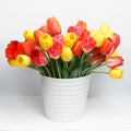 Huge bouquet of yellow and red tulips standing in a white large vase on a white table Royalty Free Stock Photo