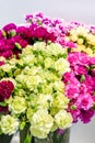 Huge bouquets of fresh colored carnations of green, pink, white, and red. Background of carnation flowers. Selective focus Royalty Free Stock Photo