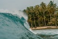 Huge breaking wave of a sea and the palm trees in the background in Mentawai islands, Indonesia