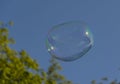 Huge bubble