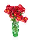 Huge bunch of red autumn chrysanthemum flowers in green vase