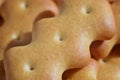 Macro photography of a many yellow salted cracker