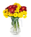 Huge bunch of yellow and red autumn chrysanthemum flowers Royalty Free Stock Photo